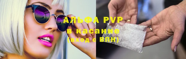 прущие грибы Балахна