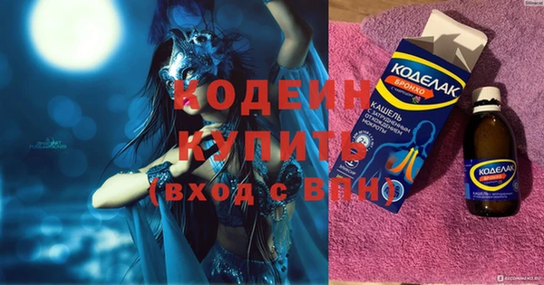 прущие грибы Балахна