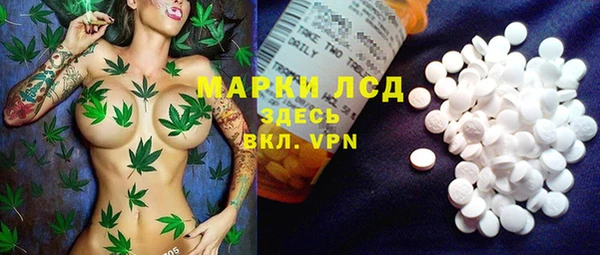 прущие грибы Балахна