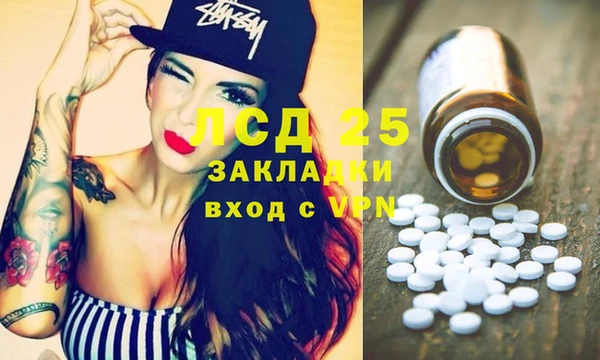 прущие грибы Балахна
