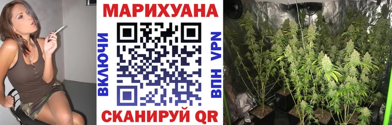 Бошки Шишки планчик  Пересвет 